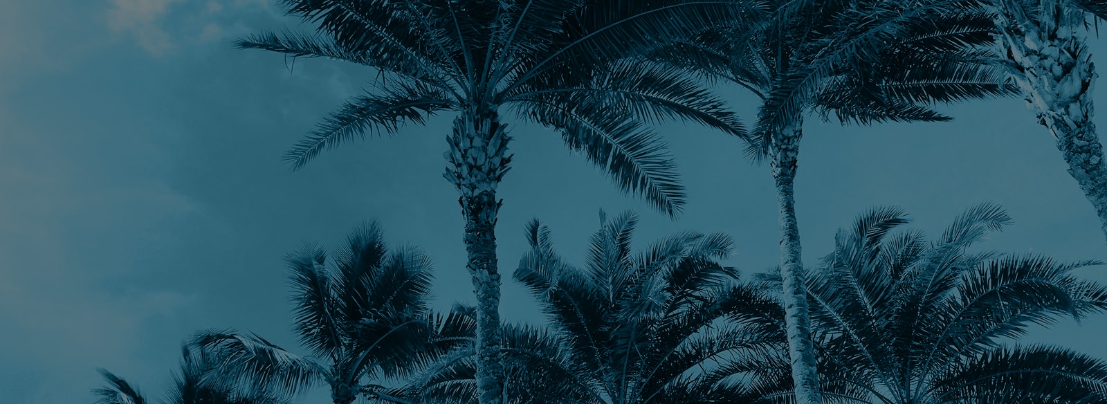 Footer Background Image